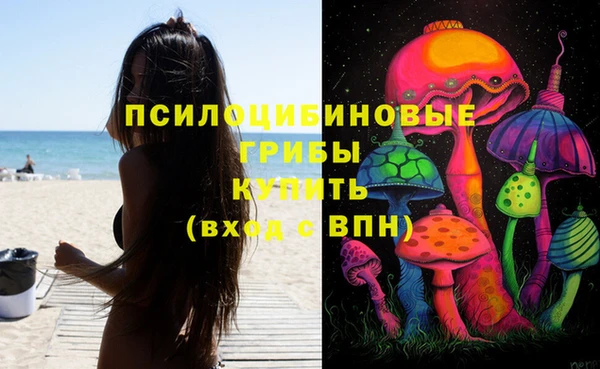 герыч Медногорск