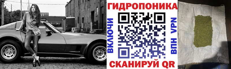 Марихуана семена мега как войти дарк нет как зайти Нытва